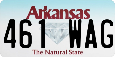 AR license plate 461WAG