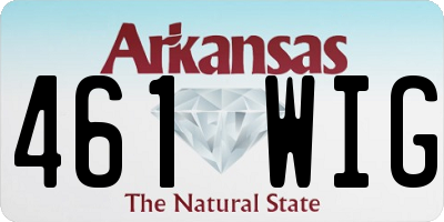 AR license plate 461WIG