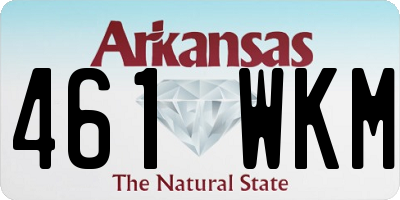 AR license plate 461WKM