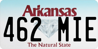AR license plate 462MIE