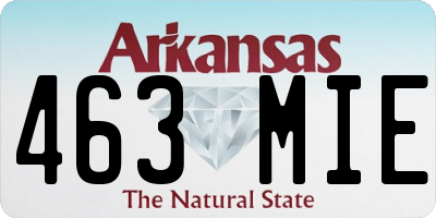 AR license plate 463MIE