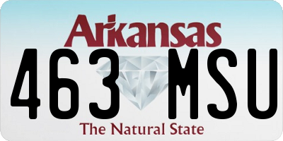 AR license plate 463MSU