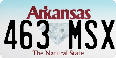 AR license plate 463MSX