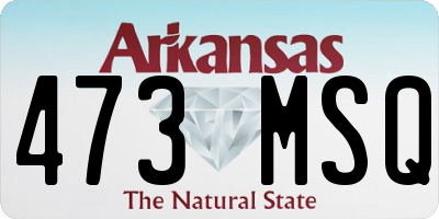 AR license plate 473MSQ