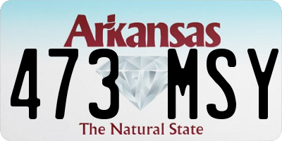 AR license plate 473MSY