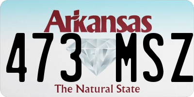 AR license plate 473MSZ