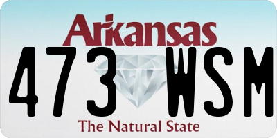 AR license plate 473WSM
