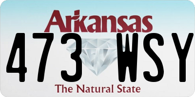 AR license plate 473WSY