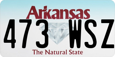 AR license plate 473WSZ