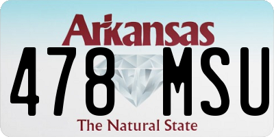 AR license plate 478MSU