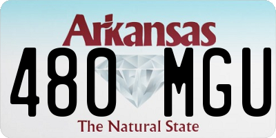 AR license plate 480MGU