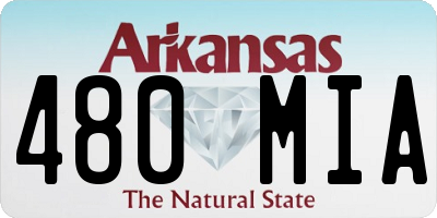 AR license plate 480MIA