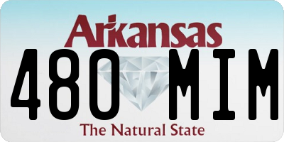AR license plate 480MIM