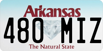 AR license plate 480MIZ