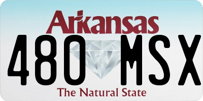 AR license plate 480MSX
