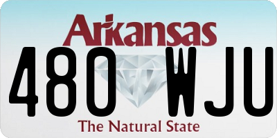 AR license plate 480WJU