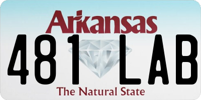 AR license plate 481LAB