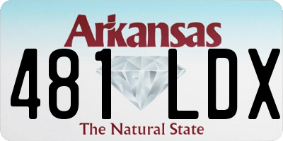 AR license plate 481LDX