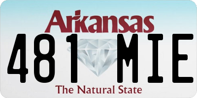 AR license plate 481MIE