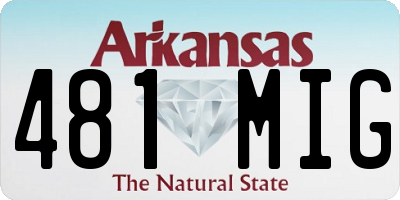 AR license plate 481MIG