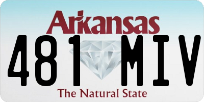 AR license plate 481MIV