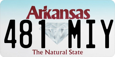 AR license plate 481MIY