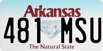 AR license plate 481MSU