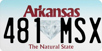 AR license plate 481MSX