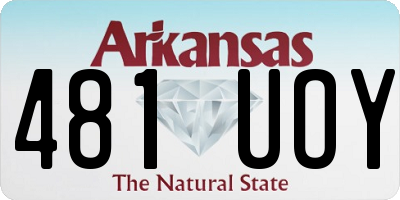 AR license plate 481UOY