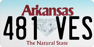 AR license plate 481VES