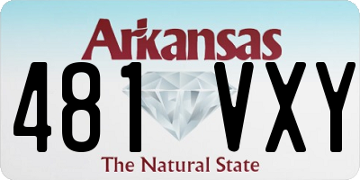 AR license plate 481VXY