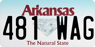 AR license plate 481WAG