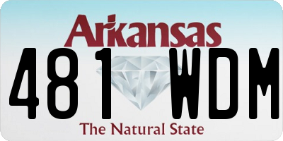AR license plate 481WDM