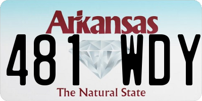 AR license plate 481WDY