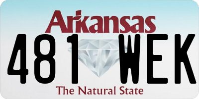 AR license plate 481WEK