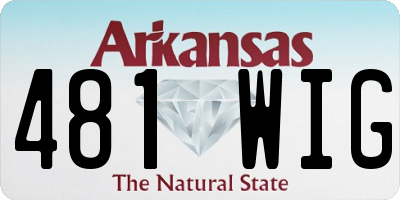 AR license plate 481WIG