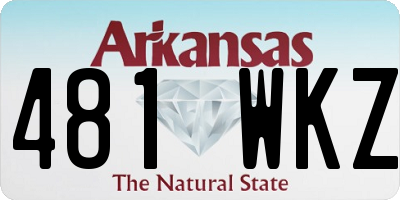 AR license plate 481WKZ