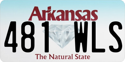AR license plate 481WLS
