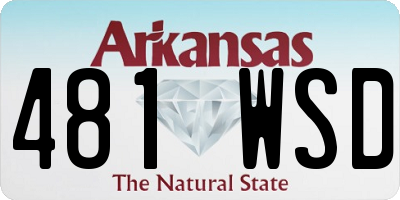 AR license plate 481WSD