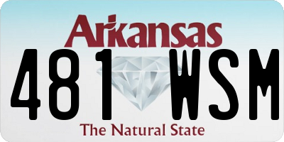 AR license plate 481WSM