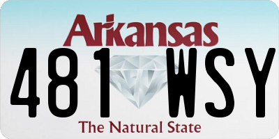 AR license plate 481WSY