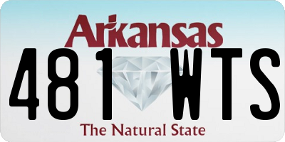 AR license plate 481WTS