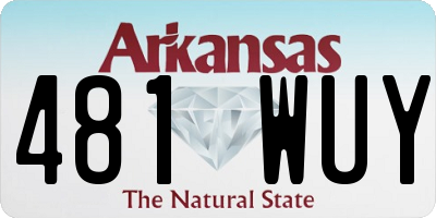 AR license plate 481WUY