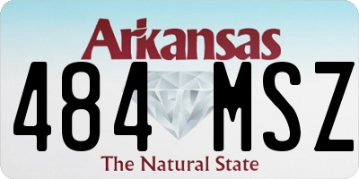 AR license plate 484MSZ