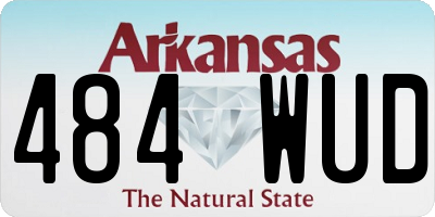 AR license plate 484WUD