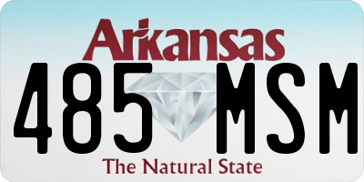 AR license plate 485MSM