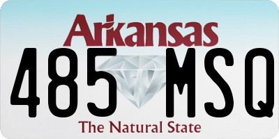 AR license plate 485MSQ