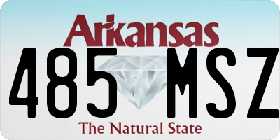 AR license plate 485MSZ