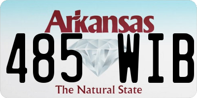 AR license plate 485WIB