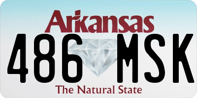 AR license plate 486MSK